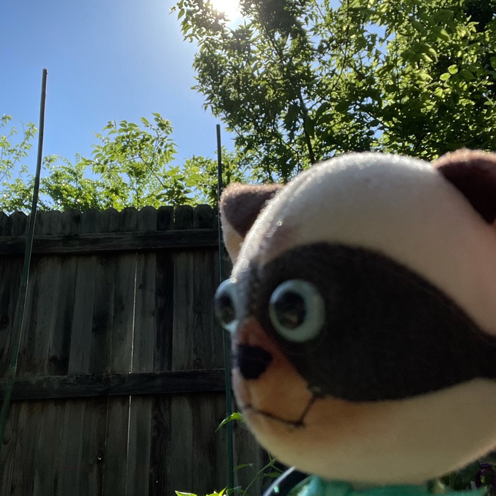 Meet your Posher, Cindy